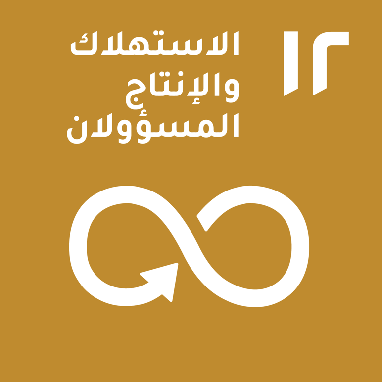 هدف التنمية المستدامة 12