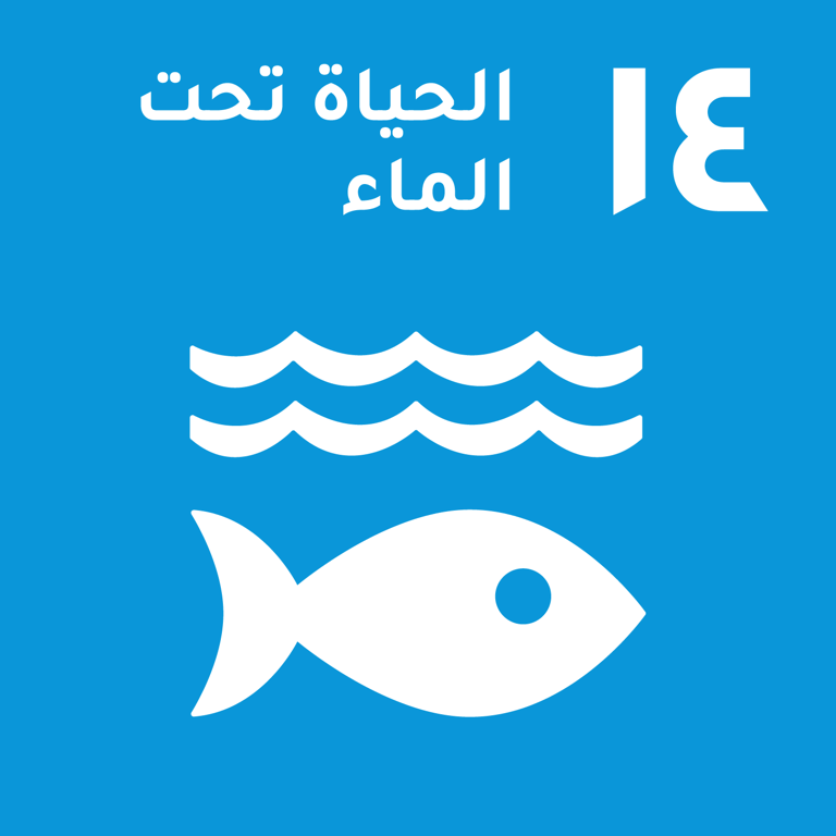 هدف التنمية المستدامة 14