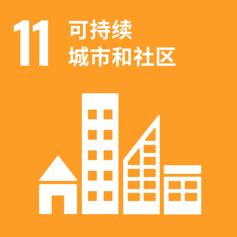 可持续发展目标 11
