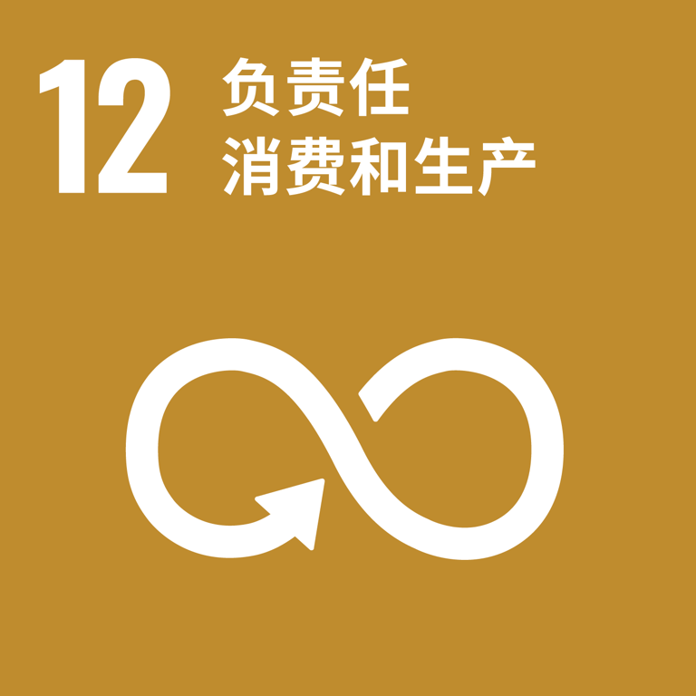 可持续发展目标 12