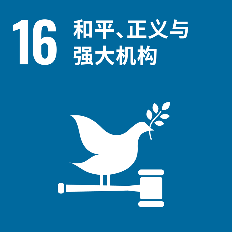 可持续发展目标 16