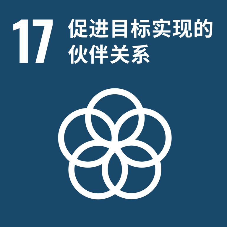 可持续发展目标 17