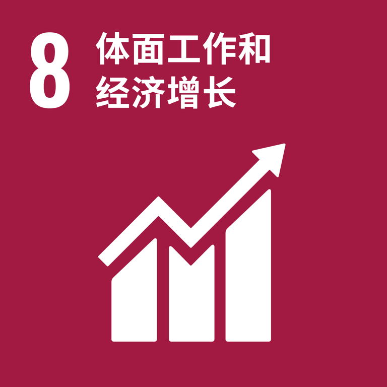 可持续发展目标 8