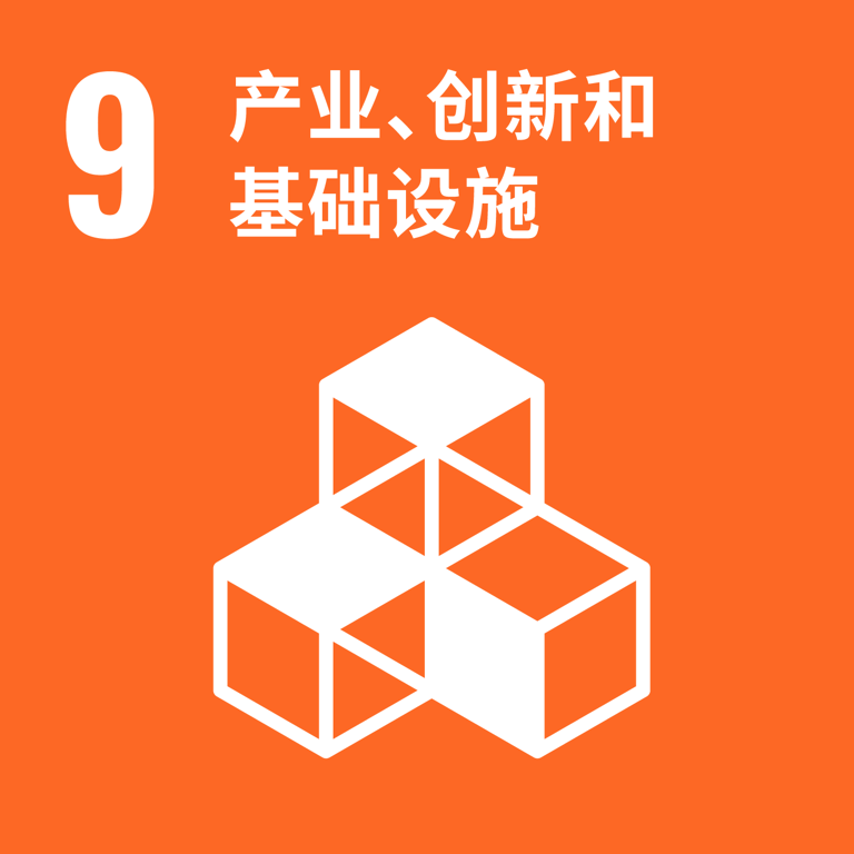 可持续发展目标 9